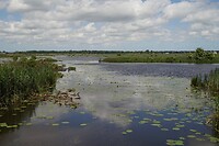 ‘De Onlanden’ vlak bij Stad (2)