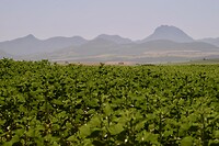 De ‘slapende vrouw’ - Sierra de Grazalema