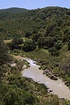 Rio Guadalete