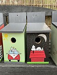 Speciaal voor het vogeltje uit Charlie Brown?
