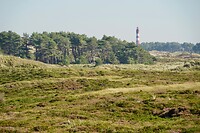 DSC05033