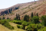 Landschap richting Brownlee Summit