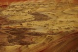 Painted Hills 4