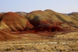 Painted Hills 9