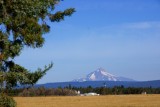 Mt. Jefferson