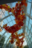 The Glass House