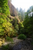 De ingang van Oneonta Gorge 1