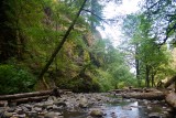 Oneonta Gorge richting uitgang