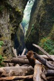 Enorme 'log jam' in Oneonta Gorge