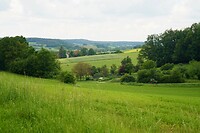 Het groengroengroene landschap ten westen van Bamberg