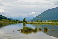 Het moerasgebied aan de achterkant van de Ossiachersee