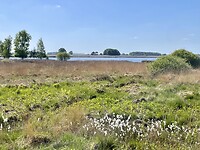 Een eerste blik over het Dwingelderveld met in de verte de Davidsplassen