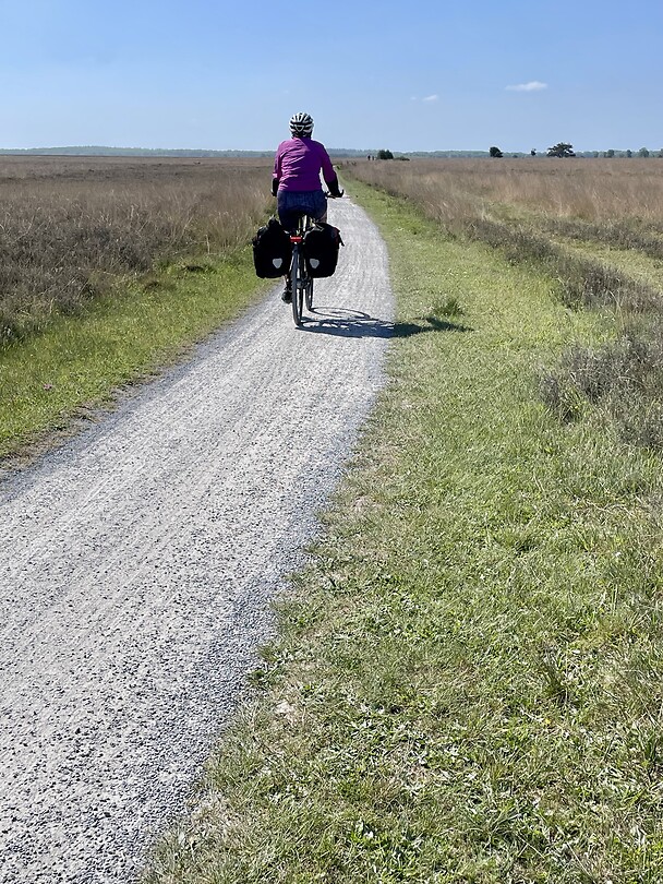 Marja op het schelpenpad dwars door het Dwingelderveld
