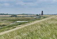 In de verte de Stompe Toren van Koudekerke