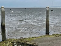Enorme zandplaat met in de verte twee mannen met een schepje en een emmertje op schelpenjacht