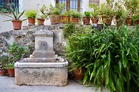 Een van de fonteintjes langs de ‘Ruta de les Fonts’