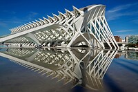 Museu de les Ciències inclusief weerspiegeling in het ondiepe water