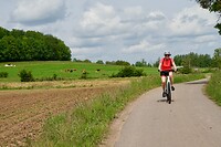 Zo ziet het fietsen er hier uit (2)