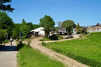 Agrarisch plaatje langs de Vennbahn bij Auel