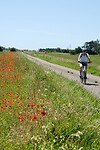Langs de klaprozen over de Ölandsleden