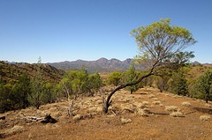 Flinders Ranges