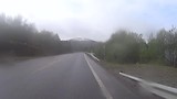 Overstekend wild