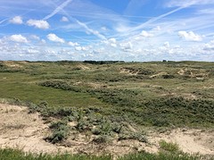 Duinen tussen Den Haag en Noordwijk