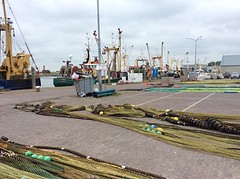 Harlingen bedrijvigheid