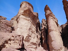 DSCN0268