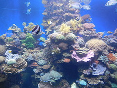 DSCN0276