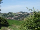 Guiglia