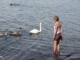 Pootje baden samen met de zwanen