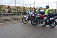 De bomen trein