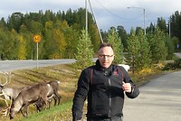 Rendieren langs de weg