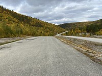 Finse weg in bos