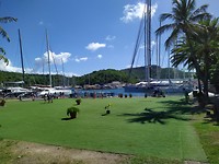 IMG_20200205_104918