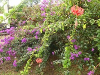 B4207F26-0BB2-4C18-B37A-3DE15E45A092