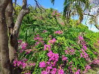 IMG_20200208_124154