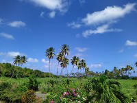 IMG_20200208_123647