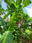 IMG_20200208_105614