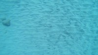 Een morgen op zee maar dan anders...