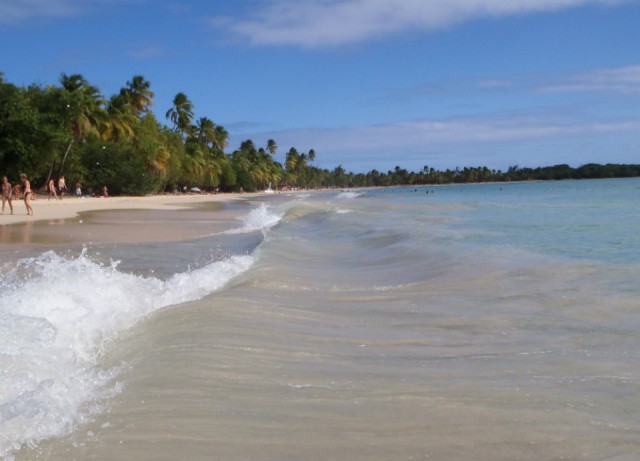 Anse des Salines, Martinique