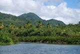 Indian River, Dominica