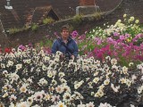 Dream Garden bij Dunster Castle