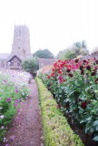 Dream garden van Dunster Castle