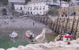 Clovelly