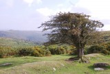 Hoogste punt in Dartmoor National Park