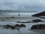 Long Beach - Ucluelet - Vancouver island