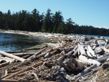 Rebecca spit, Quadra Island