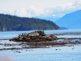 Whale watch tour
